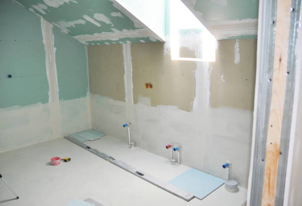 Mold Odor Removal Services in Ishpeming, MI