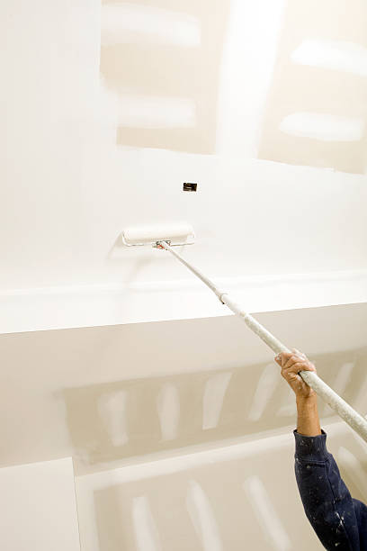 Best Post-Construction Mold Inspection  in Ishpeng, MI