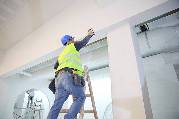Best Comprehensive Air Testing for Mold Contaminants  in Ishpeng, MI